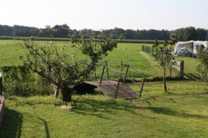 Kamperen op de Veluwe | Boeren SVR camping